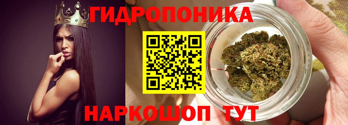 Бошки марихуана семена Зерноград